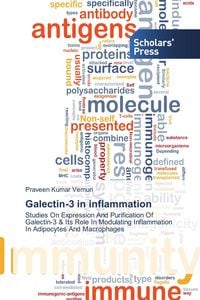 Produktbild: Galectin-3 in inflammation