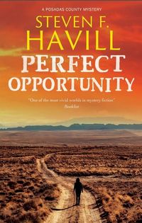 Produktbild: Perfect Opportunity