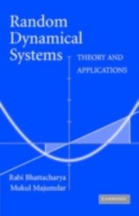 Produktbild: Random Dynamical Systems
