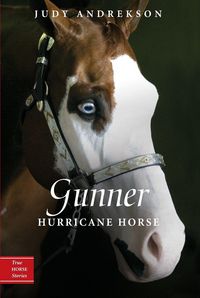Produktbild: Gunner