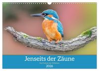 Produktbild: Jenseits der Z&auml;une (Wandkalender 2026 DIN A3 quer), CALVENDO Monatskalender