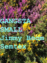 Produktbild: Gangsta Small