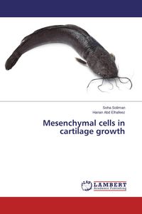 Produktbild: Mesenchymal cells in cartilage growth