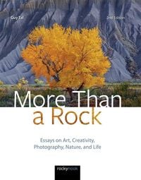 Produktbild: More Than a Rock
