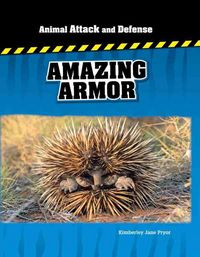 Produktbild: Amazing Armor