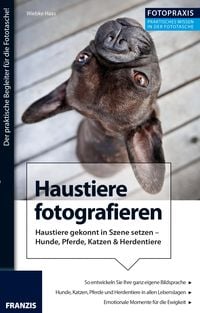 Bild vom Artikel Foto Praxis Haustiere fotografieren vom Autor Wiebke Haas