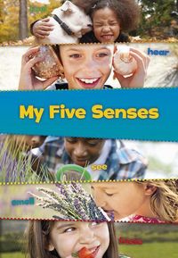 Produktbild: My 5 Senses