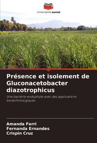 Produktbild: Pr&eacute;sence et isolement de Gluconacetobacter diazotrophicus