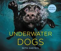 Produktbild: Underwater Dogs