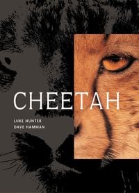 Produktbild: Cheetah