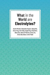 Produktbild: What in the World are Electrolytes?