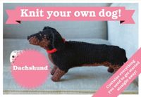 Produktbild: Osborne, J: Best in Show: Dachshund Kit
