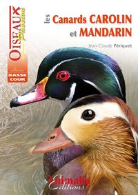 Produktbild: Canards carolin et mandarin
