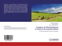 Produktbild: Incidenc of Clinical Ketosis in Cows in & around Lahore
