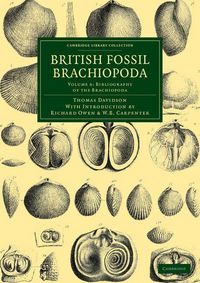 Produktbild: British Fossil Brachiopoda