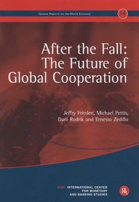 Produktbild: After The Fall The Future Of G