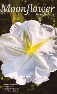 Produktbild: Moonflower