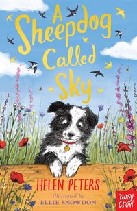 Produktbild: A Sheepdog Called Sky