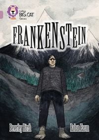 Produktbild: Frankenstein