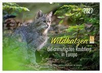 Produktbild: Wildkatzen - die anmutigsten Raubiere in Europa. (Wandkalender 2027 DIN A2 quer), CALVENDO Monatskalender