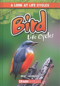 Produktbild: Bird Life Cycles
