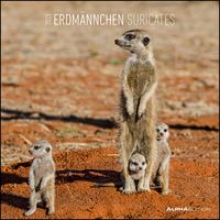 Bild vom Artikel Erdmännchen 2023 - Broschürenkalender 30x30 cm (30x60 geöffnet) - Kalender mit Platz für Notizen - Suricates - Bildkalender - Wandkalender vom Autor 