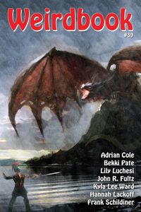 Produktbild: Weirdbook 39