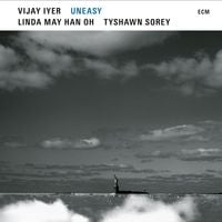 Bild vom Artikel Uneasy vom Autor Vijay Iyer