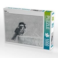 Produktbild: CALVENDO Puzzle Spatz 1000 Teile Puzzle quer | 1000 Teile Lege-Gr&ouml;&szlig;e 64 &times; 48 cm Foto-Puzzle f&uuml;r gl&uuml;ckliche Stunden