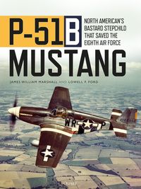 Produktbild: P-51B Mustang