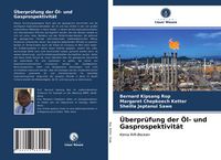 Produktbild: &Uuml;berpr&uuml;fung der &Ouml;l- und Gasprospektivit&auml;t
