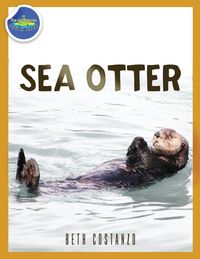 Produktbild: Sea Otter ages 2-4