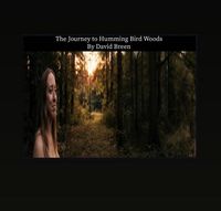 Produktbild: The Journey to Humming Bird Woods