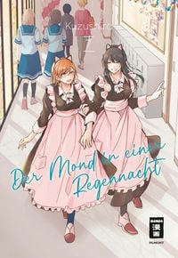 Produktbild: Der Mond in einer Regennacht 07