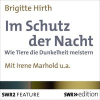 Produktbild: Im Schutz der Nacht
