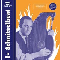 Bild vom Artikel Schnitzelbeat Vol.3-Ready For Take Off vom Autor Various Artists