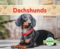 Produktbild: Dachshunds