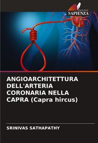 Produktbild: Angioarchitettura Dell'arteria Coronaria Nella Capra (capra Hircus)
