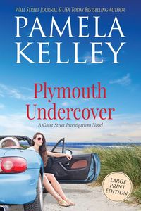 Produktbild: Plymouth Undercover