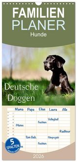 Produktbild: Familienplaner 2026 - Deutsche Doggen / Geburtstagskalender mit 5 Spalten (Wandkalender, 21 x 45 cm) CALVENDO