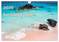 Produktbild: bermuda pink (Wall Calendar 2026 DIN A4 landscape), CALVENDO 12 Month Wall Calendar