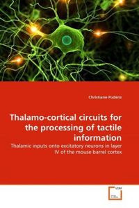 Produktbild: Pudenz, C: Thalamo-cortical circuits for the processing of t