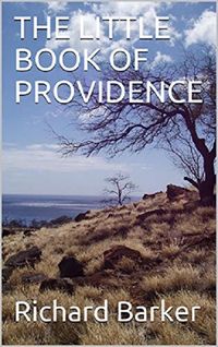 Produktbild: The Little Book of Providence