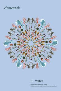 Produktbild: Elementals: Water, Vol. 3