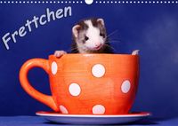 Bild vom Artikel Frettchen - Ferrets (Wandkalender 2023 DIN A3 quer) vom Autor Jeanette Hutfluss