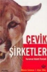 Produktbild: Cevik Sirketler