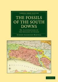 Produktbild: The Fossils of the South Downs
