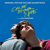 Bild vom Artikel Call Me By Your Name (Original Motion Picture Soundtrack) vom Autor Various