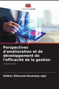 Produktbild: Perspectives d'am&eacute;lioration et de d&eacute;veloppement de l'efficacit&eacute; de la gestion