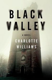 Produktbild: Black Valley